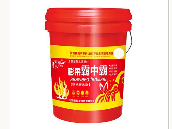 點(diǎn)擊查看詳細(xì)信息<br>標(biāo)題：膨果霸中霸 閱讀次數(shù)：2663